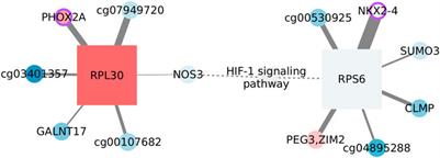 Functional impact of multi-omic interactions in breast cancer subtypes